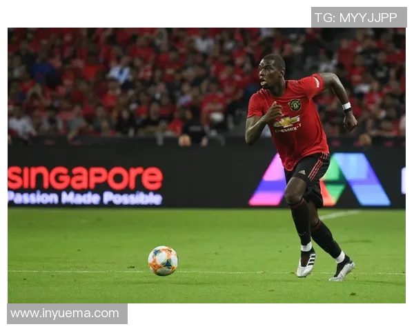 巴黎圣日耳曼欲引进汉达诺维奇,或将刷新法甲转会纪录 巴黎圣日耳曼欲引进汉达诺维奇,或将刷新法甲转会纪录